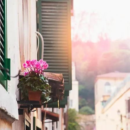 Feriehus Trasteverehome - Sales *